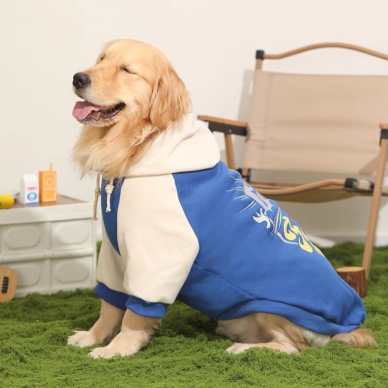 The Ultimate Winter Wardrobe for Your Pet