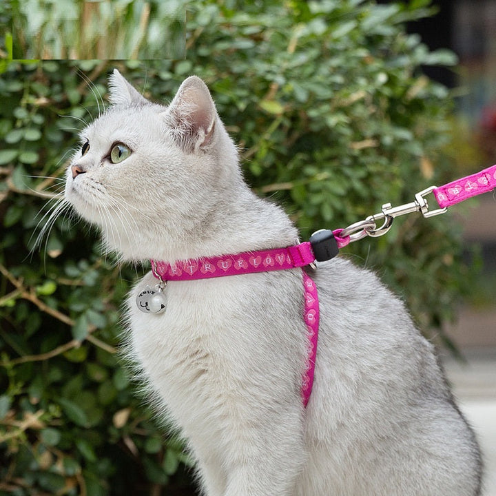 Why Your Pet Needs the Pet Bell Vest Harness With Adjustable Walking Leash Set